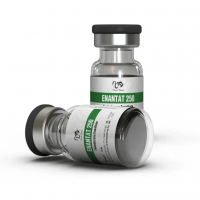 Enantat 250 by Dragon Pharma