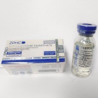 Testosterone Enanthate 250 mg/ml (10 ml) by ZPHC